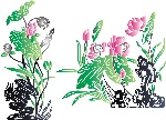 荷花矢量图