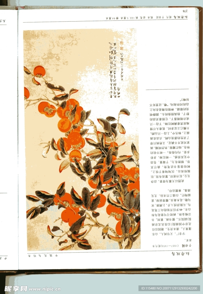 扫描牡丹