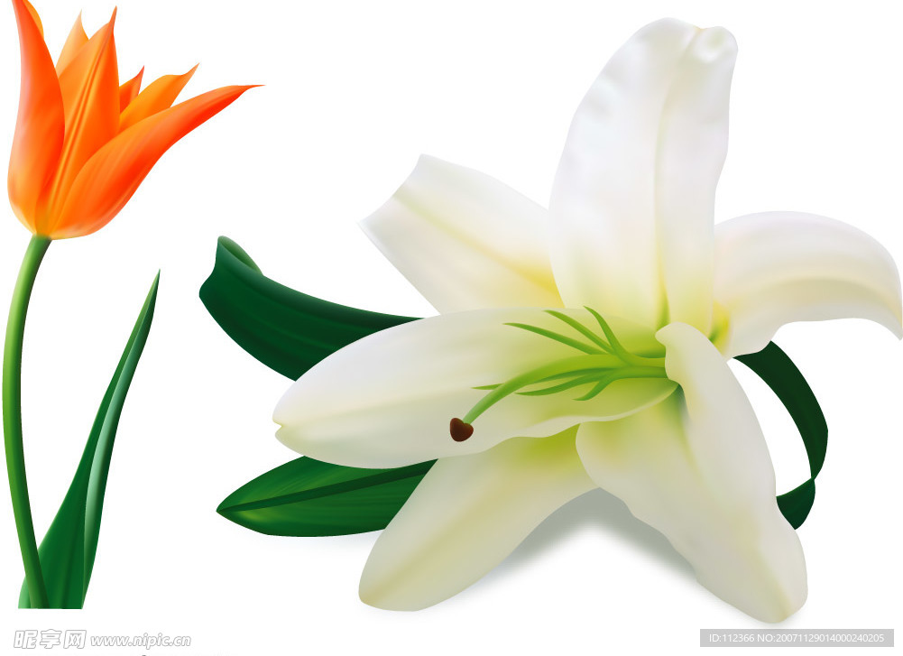 AI时尚花纹