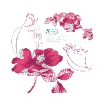 韩国精美花形饰角