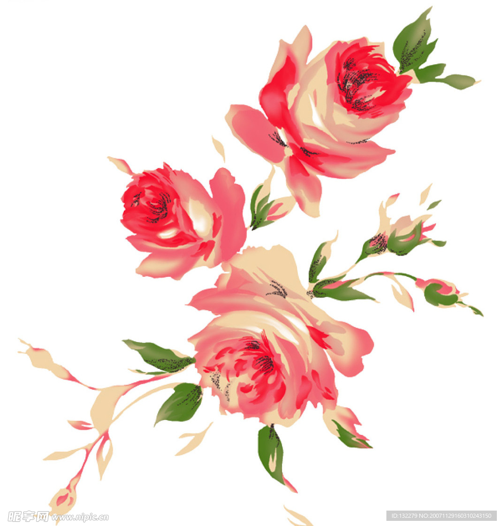 牡丹花