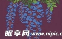 日本传统图案矢量素材15-花卉植物