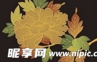 日本传统图案矢量素材16-花卉植物