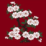日本传统图案矢量素材2-花卉植物