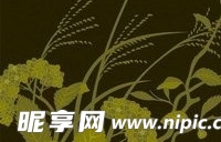 日本传统图案矢量素材26-花卉植物