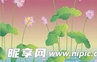 日本传统图案矢量素材42-花卉植物