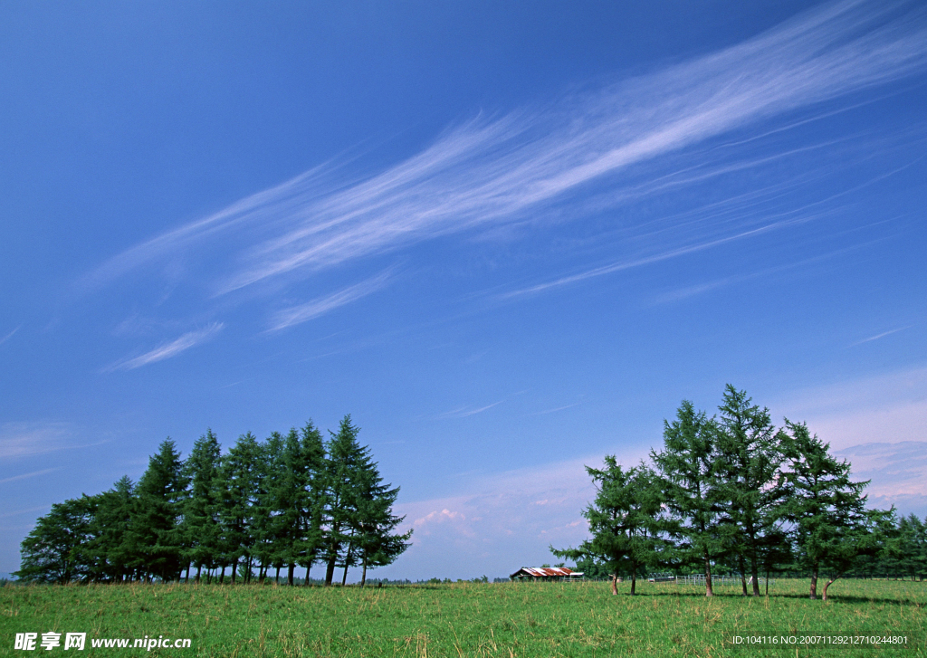 蓝天白云田野大地庄稼