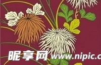 日本传统图案矢量素材49-花卉植物