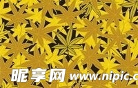 日本传统图案矢量素材54-花卉植物