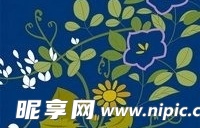 日本传统图案矢量素材63-花卉植物