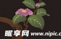 日本传统图案矢量素材77-花卉植物