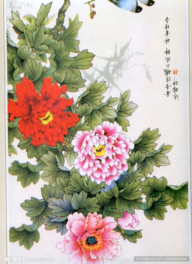 扫描牡丹