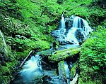 山水之间