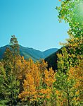 山水之间