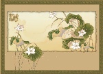 荷花古典2
