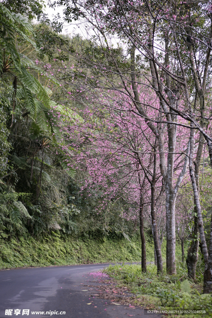 风景