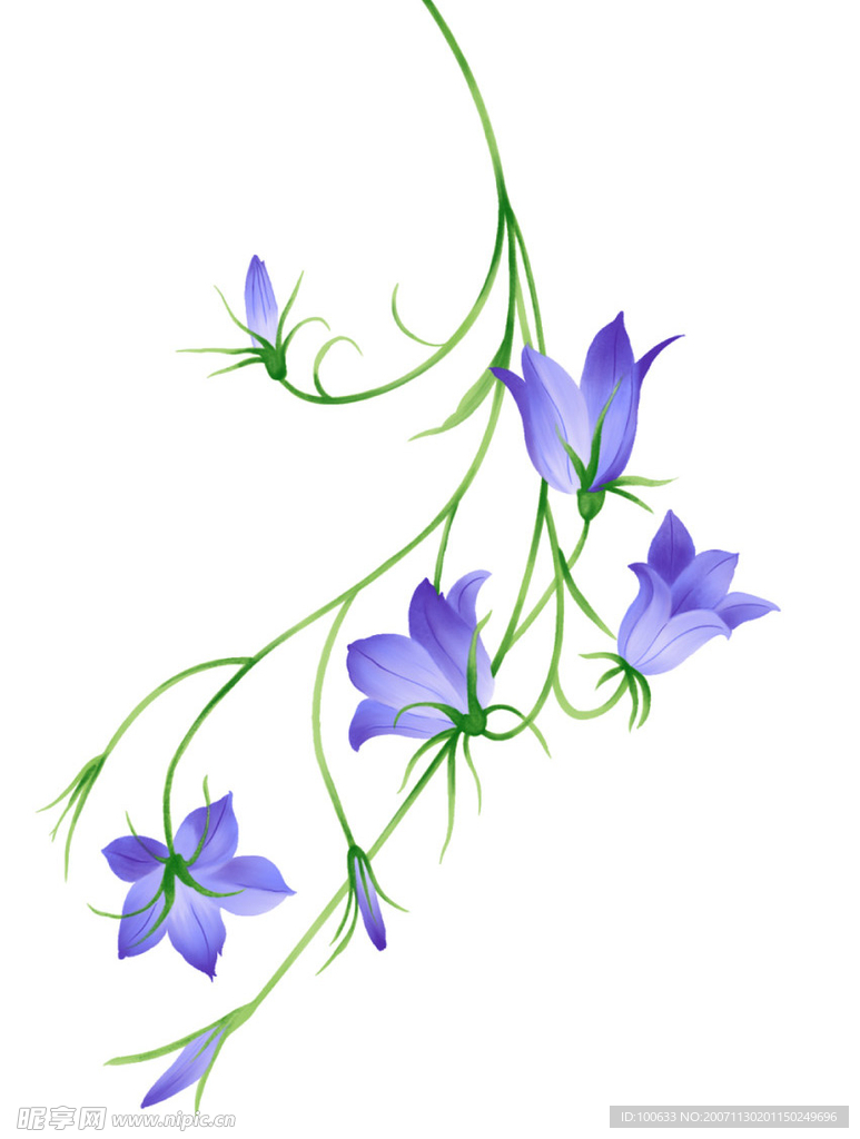 PSD花