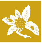 日本传统瓜果图案矢量素材