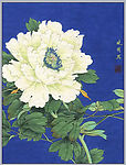 李晓明工笔作品026