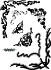 矢量图花纹6