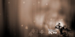 韩城恋曲婚纱模板