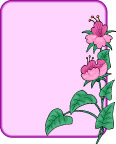 精美的花草边框矢量图