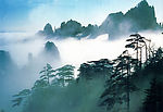 精美设计素材