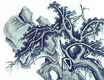 松树 水墨画 高分辩率 清晰-3