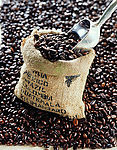 茶之文化105