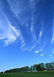 蓝天白云田野大地庄稼(老牛爱吃嫩草上传)