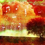 音乐天地