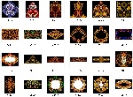 阿拉伯文化图库-背景花纹(全100款）