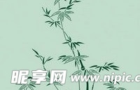 日本传统图案矢量素材98-花卉植物