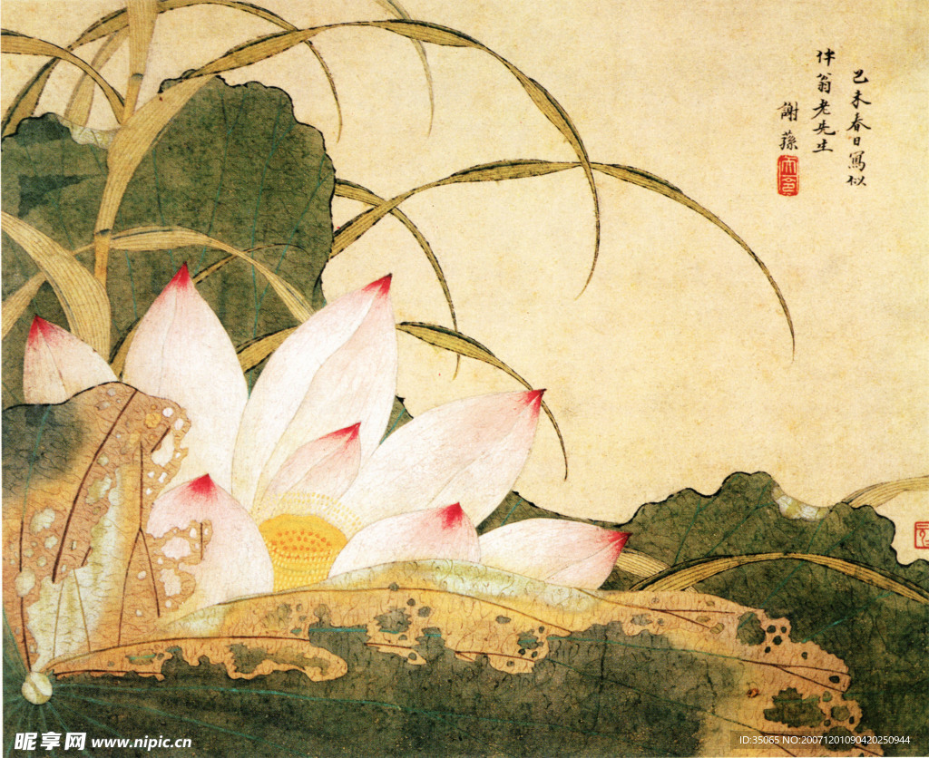古画