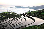 梯田