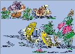 精工花鸟图1