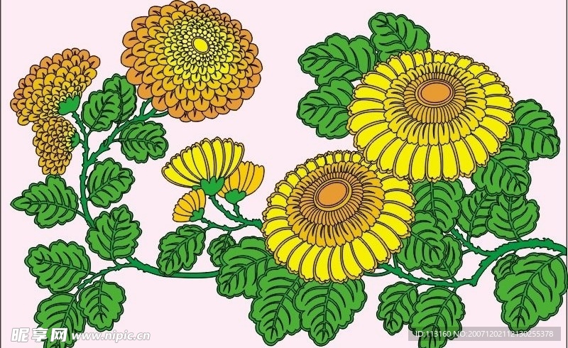 精美工笔花