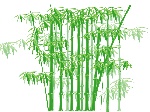 矢量竹林