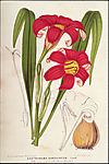 国外大师钢笔素描画