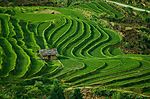 田园风光