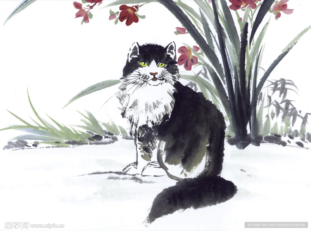 花鸟