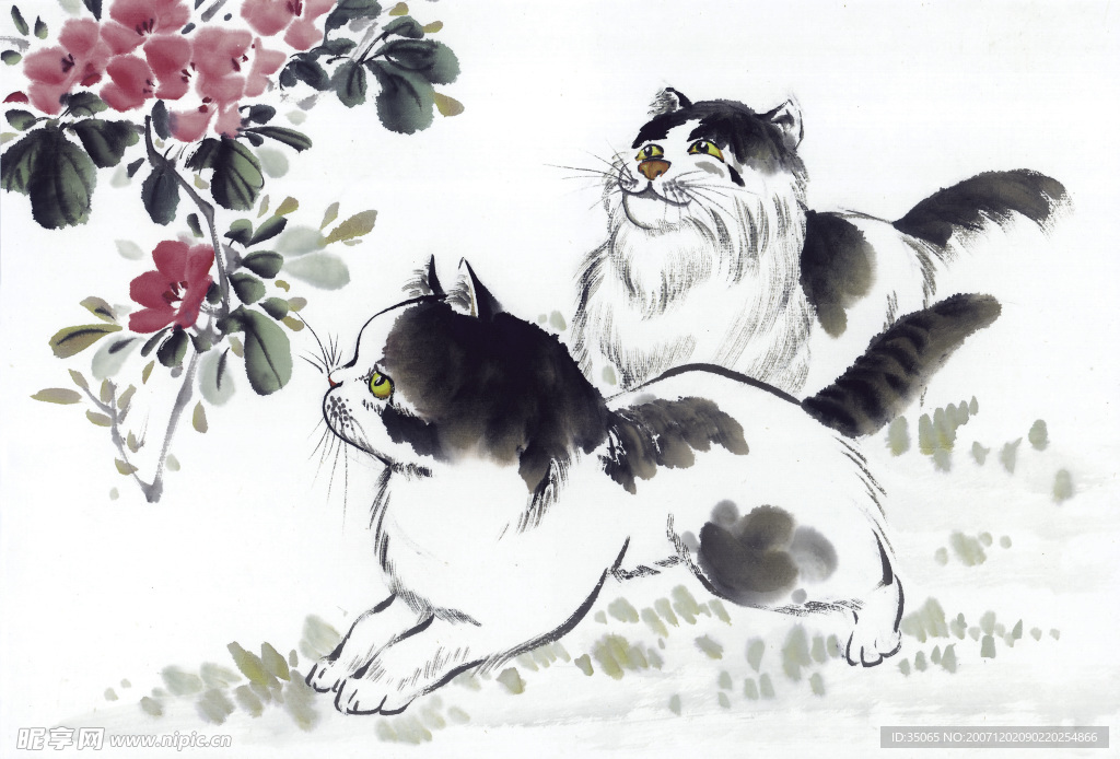 花鸟