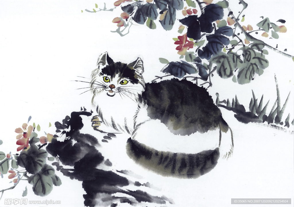 花鸟