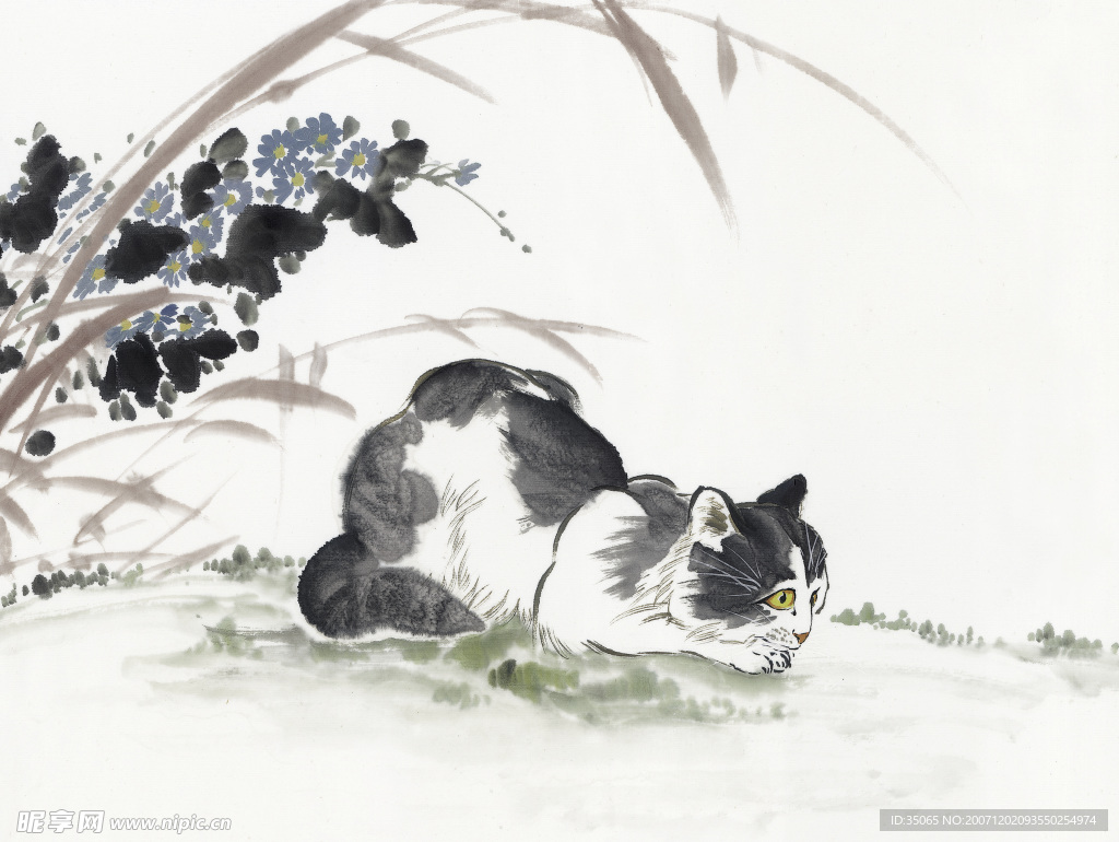 花鸟