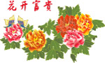 花开富贵