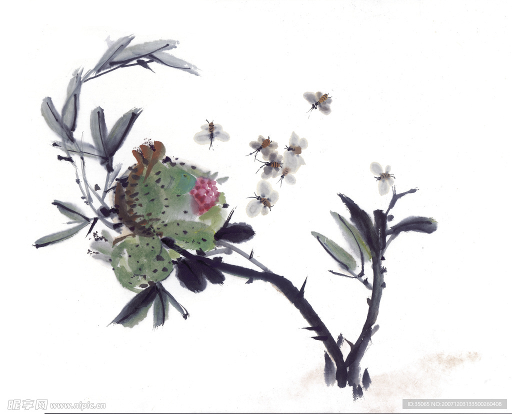 花鸟