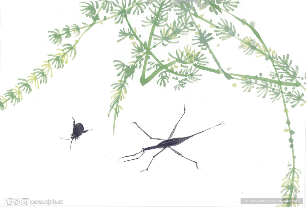 花鸟