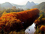 风景
