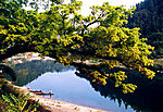 风景