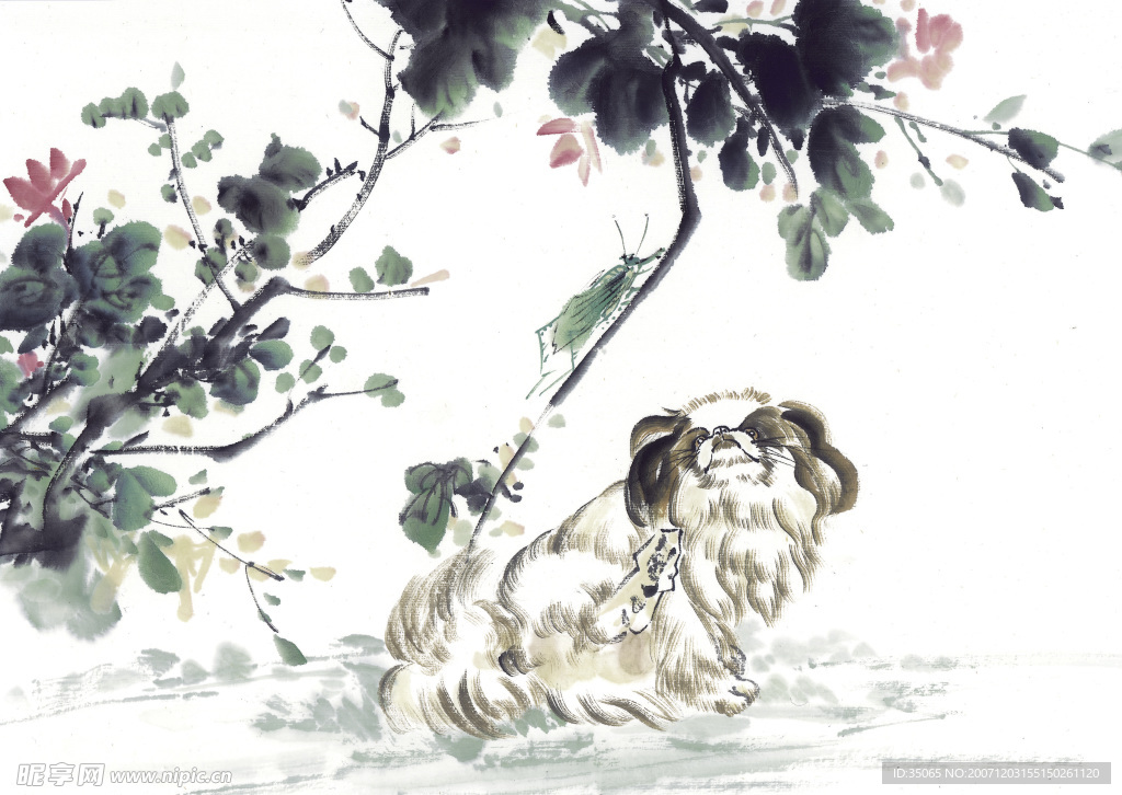 花鸟